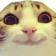 cat_happy Discord emoji