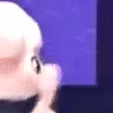 apuppymtears