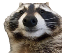 ale Discord emoji