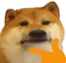 doggothink1 doggothink1