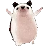 hedge_dance