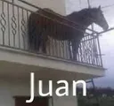 2Q