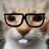 bnx9_nerdcat