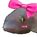 fishCute Discord emoji