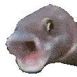 PogFish Discord emoji