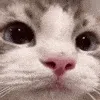 mreowstare