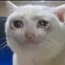 Cry