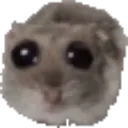 homik