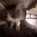 cat_comfy cat_comfy