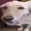 j_butta_dawg Discord Emoji