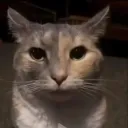 1000yardstare