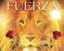 fuerzaleona fuerzaleona