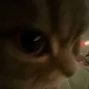 catsideeye
