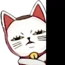 TurboCat_SusColor