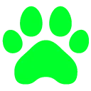 cyberpaw