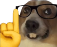dog_nerd Discord emoji