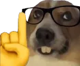 dog_nerd dog_nerd
