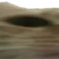 cat_wide1 cat_wide1