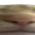 cat_wide2 Discord emoji
