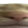 cat_wide2 cat_wide2