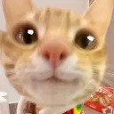 emoji_154 emoji_154