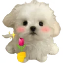 danysaysily