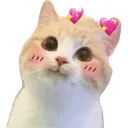 catblush