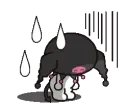 sighkuromi sighkuromi