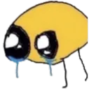 sob1 sob1