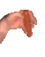 sausage