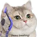 P_BowTab