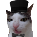 poshcat Discord Emoji - Mundo dos Animes - Br