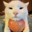 j_car_with_apple Discord Emoji