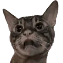 kaiew
