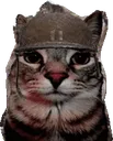 catwar