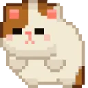 rollingcat