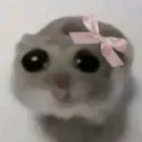 imjustagirl imjustagirl