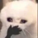 catyell