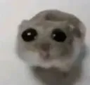 sadtrumpetplays