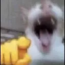 j_lmfao Discord Emoji