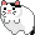 cat_roll