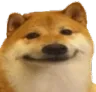 dogesmile