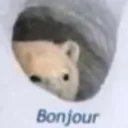 Bonjour0