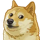 doge