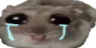 hamcry
