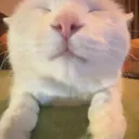 eepy