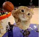 ballincat