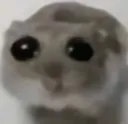 WAAAAA