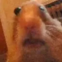 Eugene