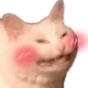 tcp_meo_vui tcp_meo_vui
